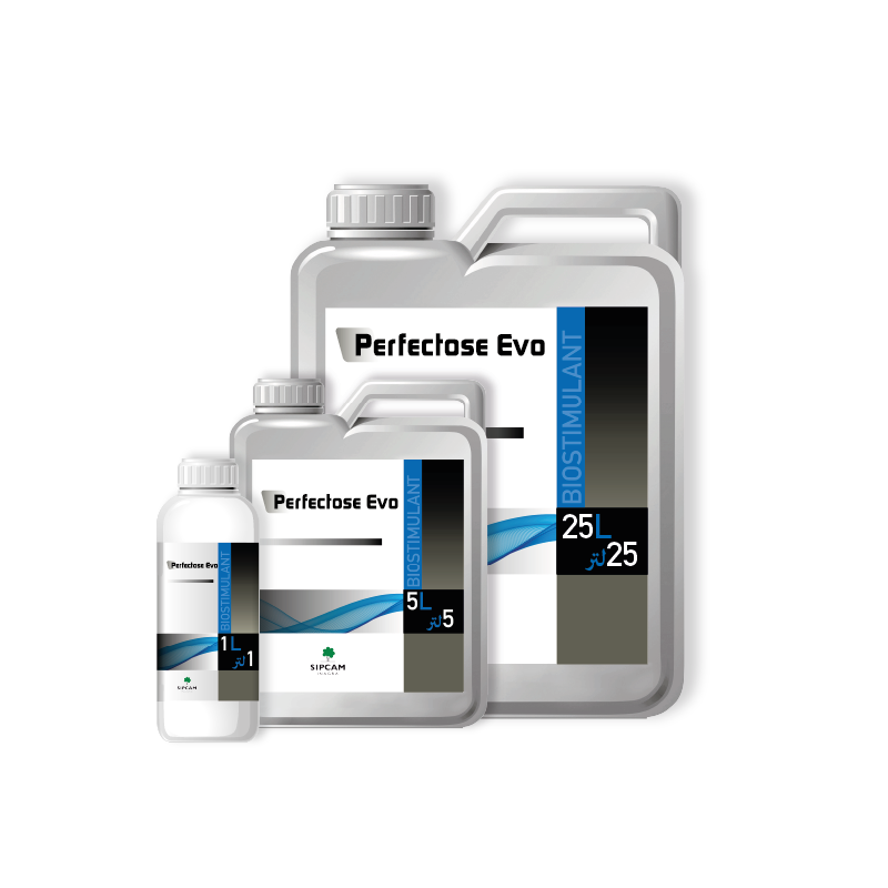 Perfectose Evo - Sipcam Algérie